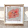 Gamba blanca - colección Costa de la luz