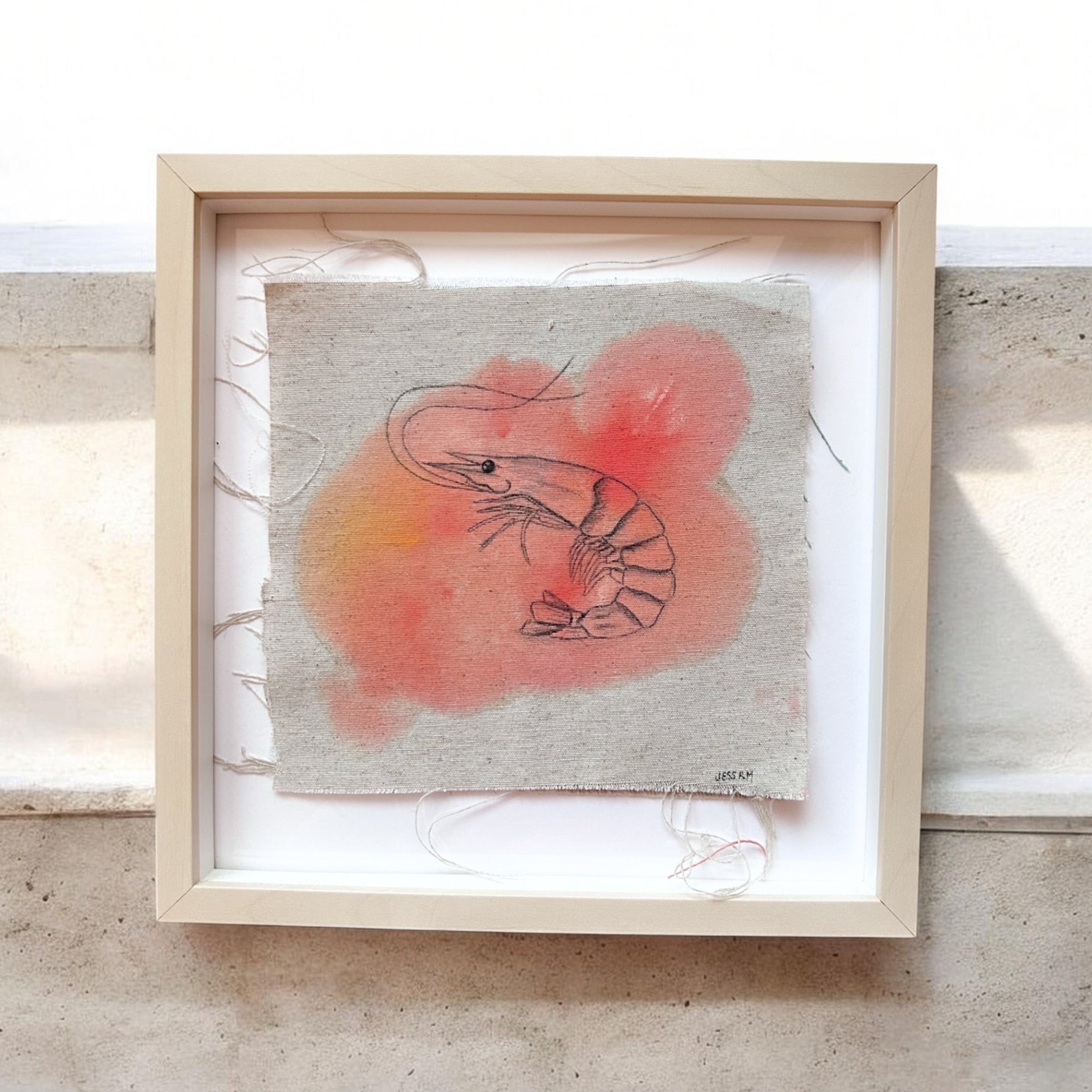Gamba blanca - colección Costa de la luz